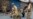 Pakistan: Indian Shelling Wounds Civilians in Kashmir
