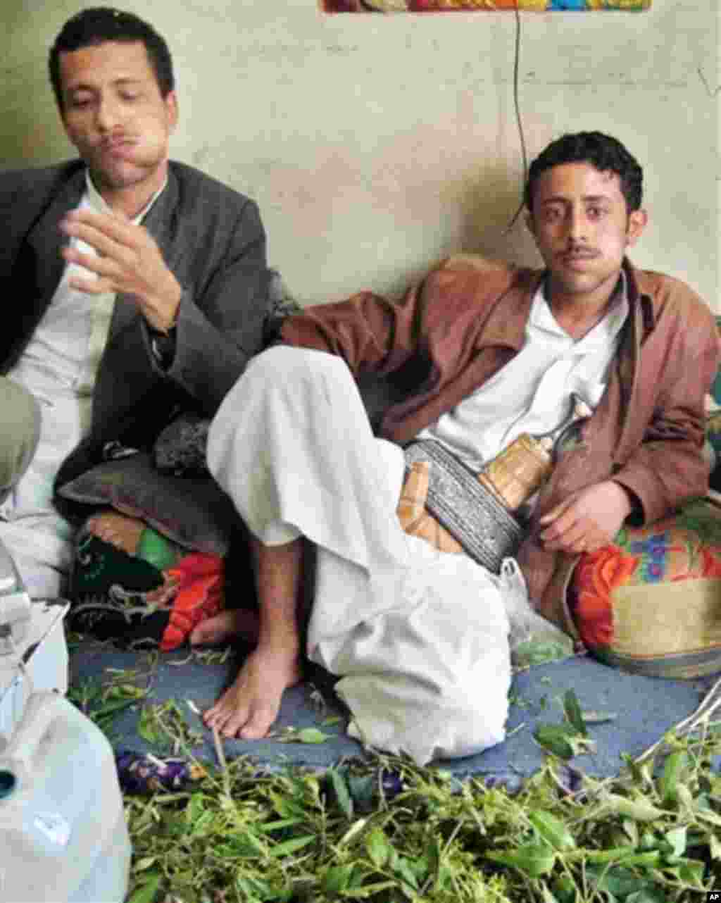 Yemenis chew qat leafs in the capital San'a on Thursday, Oct. 6, 2005. Qat is a centuries-old social custom that stimulates mental activity, long conversations and tall tales in this tribal-dominated nation at the southern tip of the Arabian Peninsula. Qa