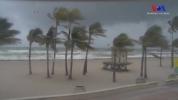 Irma Kasırgası Nedeniyle Florida'da En Büyük Tahliye