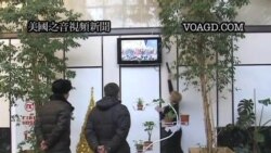 2012-01-17 美國之音視頻新聞: 哈薩克斯坦總統稱選舉體現團結