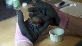 Bat Rehab