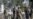 Suicide Bomber Attacks US Base in Afghanistan