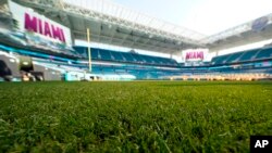 Se espera que varios artistas se presenten durante la semana del Super Bowl que se llevará a cabo en la ciudad de Miami. 