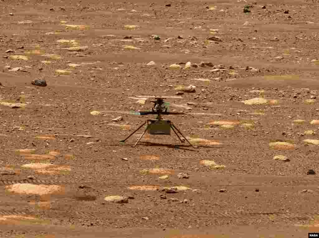 Foto helikopter Mars &quot;Ingenuity&quot; NASA saat melayang di atas permukaan planet Mars. (Foto: NASA/JPL-Caltech/ASU)