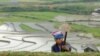 FAO Sees Challenges for Asia’s Agriculture