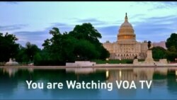 Live Talk Special Coverage: Zimbabwe 2022 By-elections