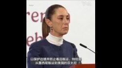墨西哥总统表示美国关税要推迟一个月 