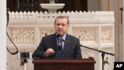 土耳其总理埃尔多安