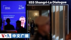 美国之音中文广播 (2026年5月30日)
