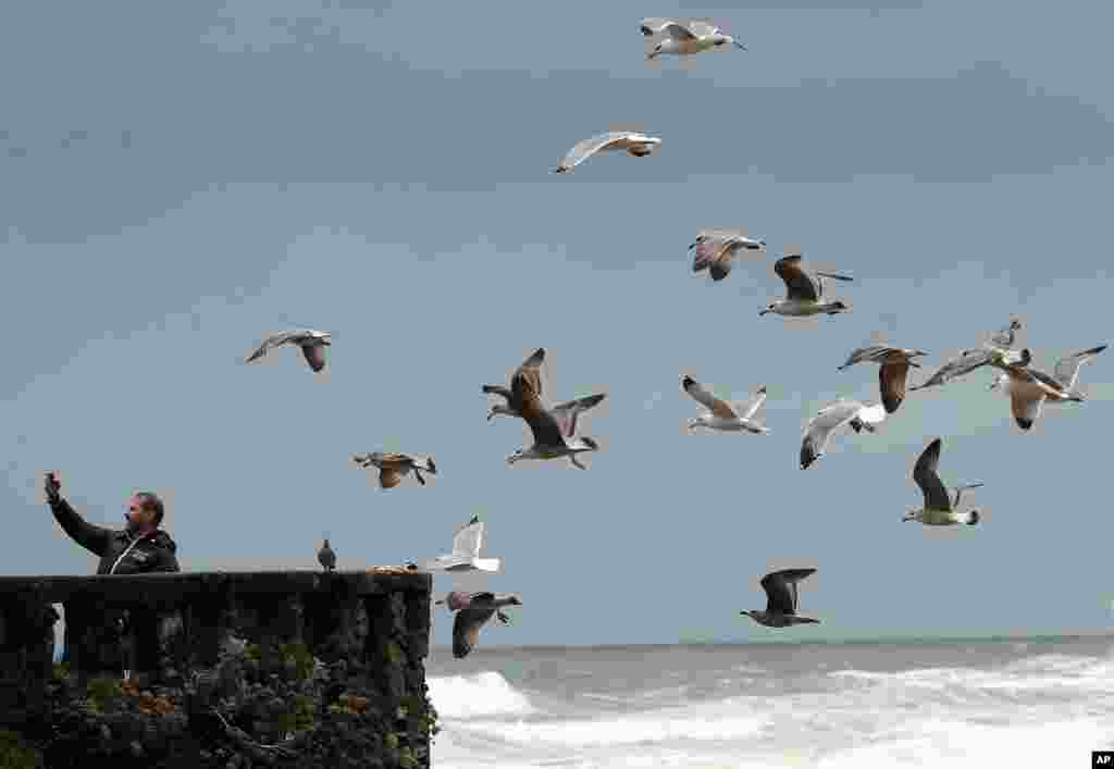 A man takes a selfie with seagulls in Biarritz, southwestern France.