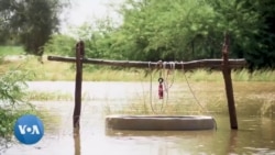 Le Sénégal sous les eaux : l'agriculture et les villages ravagés