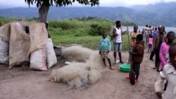 Le drame des familles des victimes de naufrages à répétition sur le lac Kivu