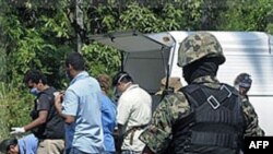 Meksikada cinayətkar qruplaşmalar fəaliyyətlərini genişləndirir