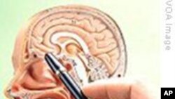 美国医生致力于探究脑癌的治疗方法
