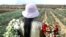 Peruvian Gisela Huamani, 11, carries flowers during a harvest at a field in a shantytown in Lima, May 26, 2005.