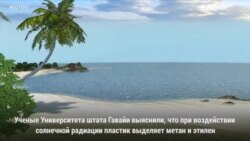 Солнце и пластик
