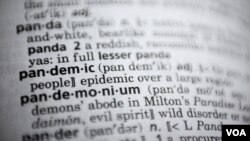 در این تصویر، به تاریخ ۲۱ نوامبر ۲۰۲۰، واژه پاندمی در یک فرهنگ لغات انگلیسی در واشنگتن به چشم می خورد. «مریام-وبستر» این کلمه را واژه سال ۲۰۲۰ آن فرهنگ لغات اعلام کرده است.