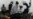 UN Chemical Weapons Team Takes Blood from Victims