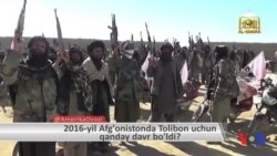 2016-yil Afg’onistonda Tolibon uchun qanday davr bo’ldi?