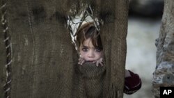 A Pakistani child, who was displaced with her family from Pakistan's tribal areas, looks out through a hole of a makeshift curtain at the entrance of her family's home, in a poor neighborhood on the outskirts of Islamabad, Pakistan, Monday, Jan. 28, 2013.