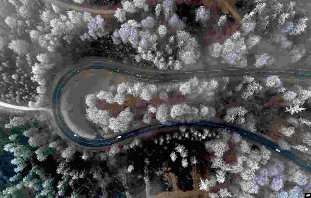 Frozen trees that laid all day in the fog are pictured in the Taunus region near Frankfurt, Germany.