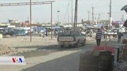 Jiyan Vedigere Piraniya Taxên Mûsilê