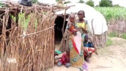 L’extrême-Nord camerounais vit dans la peur après l'attaque de Boko Haram