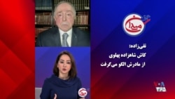 رضا تقی‌زاده: شاهزاده پهلوی تا حالا دو تا خشت روی هم نگذاشته، ای کاش از مادرش الگو می‌گرفت