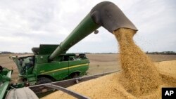 FILE -Soybeans are offloaded from a combine during the harvest in Brownsburg, Indiana, Sept. 21, 2018. Soybeans are one of the U.S. farm products China put tariffs on.