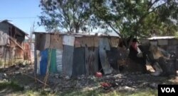 A view of some of the makeshift homes in the Ma Drapo quake survivor camp. (Matiado Vilme/VOA Creole)