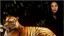 Quiz - The Lady, or the Tiger?