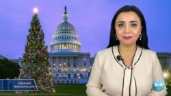 Amerika Manzaralari: Xitoy, qurol, savdo