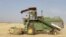 FILE - Syrian farmers collect crops in a field in Daraa, 100 kms south of Damascus, on June 5, 2010.