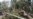 Cyclone Takes Toll on Infrastructure, Crops in India, Bangladesh