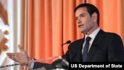 عکس از آرشیو