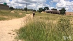 Soldiers Causing Anxious Moments in Rural Zimbabwe