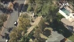 Tiger Woods Car Crash -- USAGM