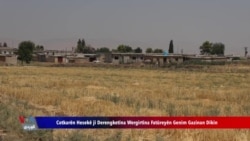 Cotkarên Hesekê bo Wernegirtina Fatûreyên Gênim Gazinan Dikin
