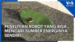 Penelitian Robot yang Bisa Mencari Sumber Energinya Sendiri