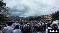 Cientos de personas marchan en frontera colombo-venezolana para protestar lo que esta sucediendo entre Venezuela y Colombia. [Foto cortesía de Erika Ayala, InsideOut Cúcuta].