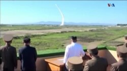 اخبار شامگاهی