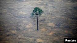 Una toma aérea muestra un lote deforestado del Amazonas, cerca de Porto Velho, estado de Rondonia, Brasil, el 17 de septiembre de 2019.