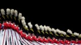 Radio City Rockettes perform the Parade of the Wooden Soldiers dance during the Christmas Spectacular at Radio City Music Hall, Dec. 13, 2024, in New York. 