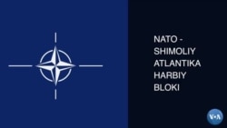 NATO qanday tashkilot?