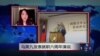 VOA连线：马英九发表就职六周年演说