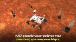 Марсианская робот-пчела