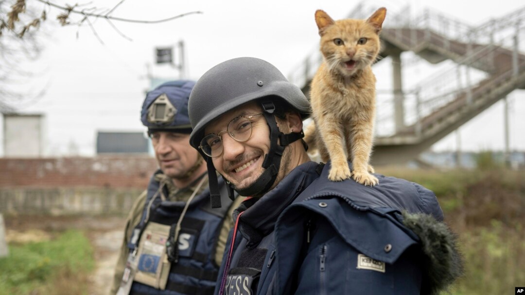 Koordinator video AFP di Ukraina, Arman Soldin, berpose dengan seekor kucing di pundaknya di Ukraina (foto: dok). Arman Soldin (32 tahun tewas dalam serangan roket di dekat kota Bakhmut, Ukraina timur.