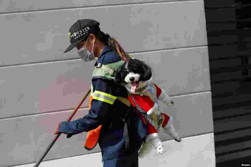 Thitirat Keowa-ram, Bangkok&#39;s street sweeper, carries her 1-year old poodle-shih tzu mix breed as she works at a street in Bangkok, Thailand.
