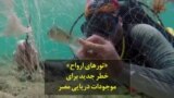 «تورهای ارواح» خطر جدید برای موجودات دریایی مصر