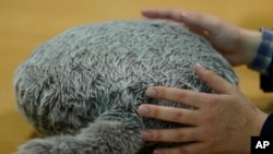 Japan Digital Life Home Robots, In this Jan. 10, 2018 photo, Yukai Engineering's cushion robot Qoobo is displayed in Tokyo. A fuzzy, huggable cushion with a whimsically swishy tail.